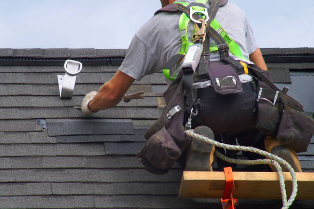 Best Roof Gutter Cleaning  in Ambridge, PA
