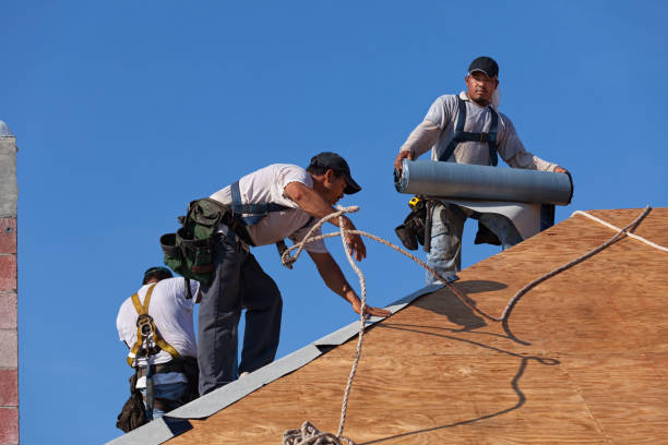 Best Best Roofing Contractors  in Ambridge, PA