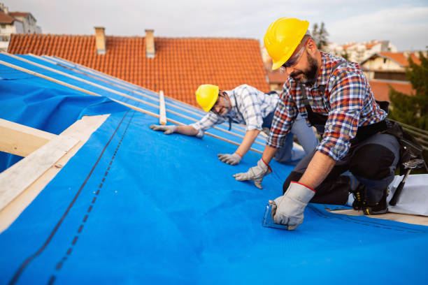 Best Roof Waterproofing Services  in Ambridge, PA