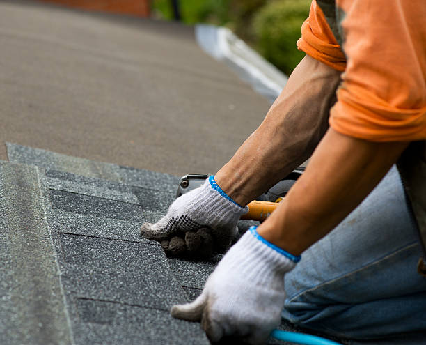 Best Flat Roof Repair Services  in Ambridge, PA