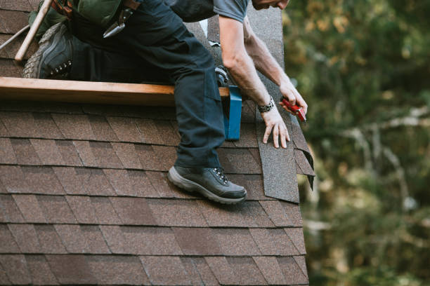 Best Shingle Roofing Installation  in Ambridge, PA